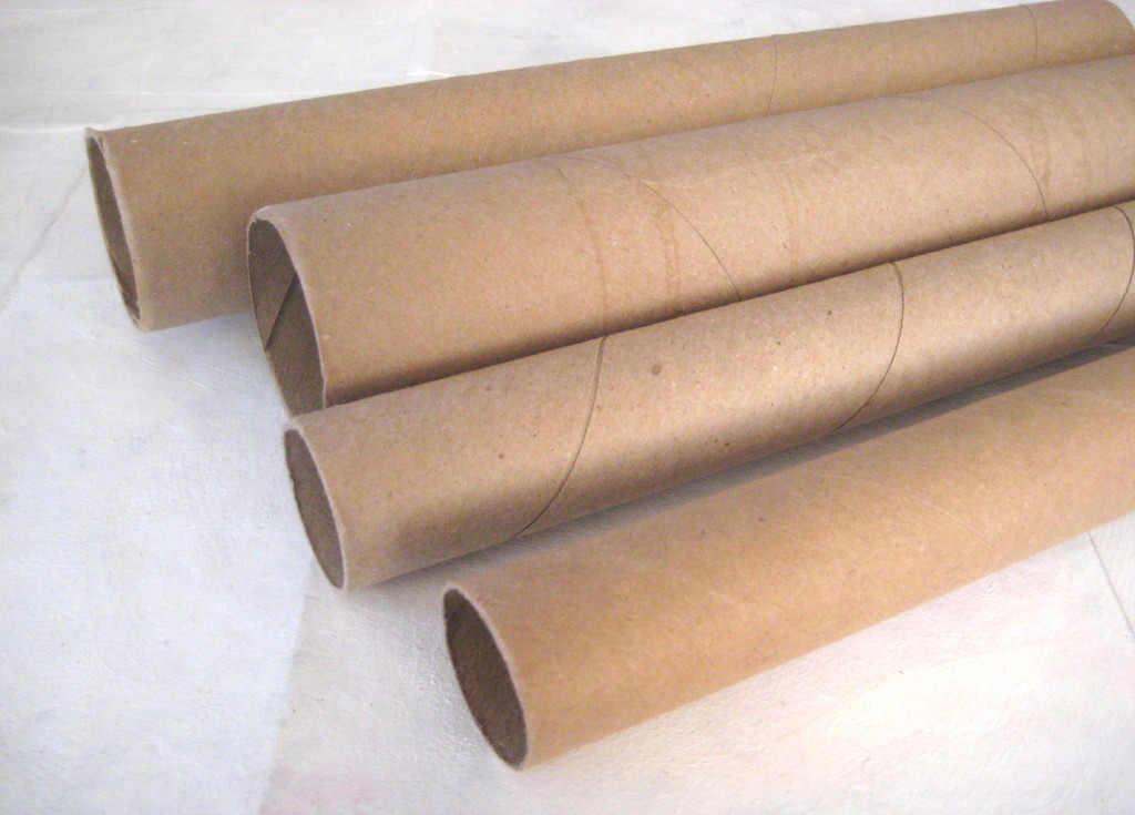 Paper Towel Tubes « Mr. Jackson's Grade Three Class